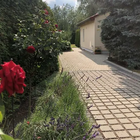 Ferienhaus zur Blautanne Klipphausen Exterior foto